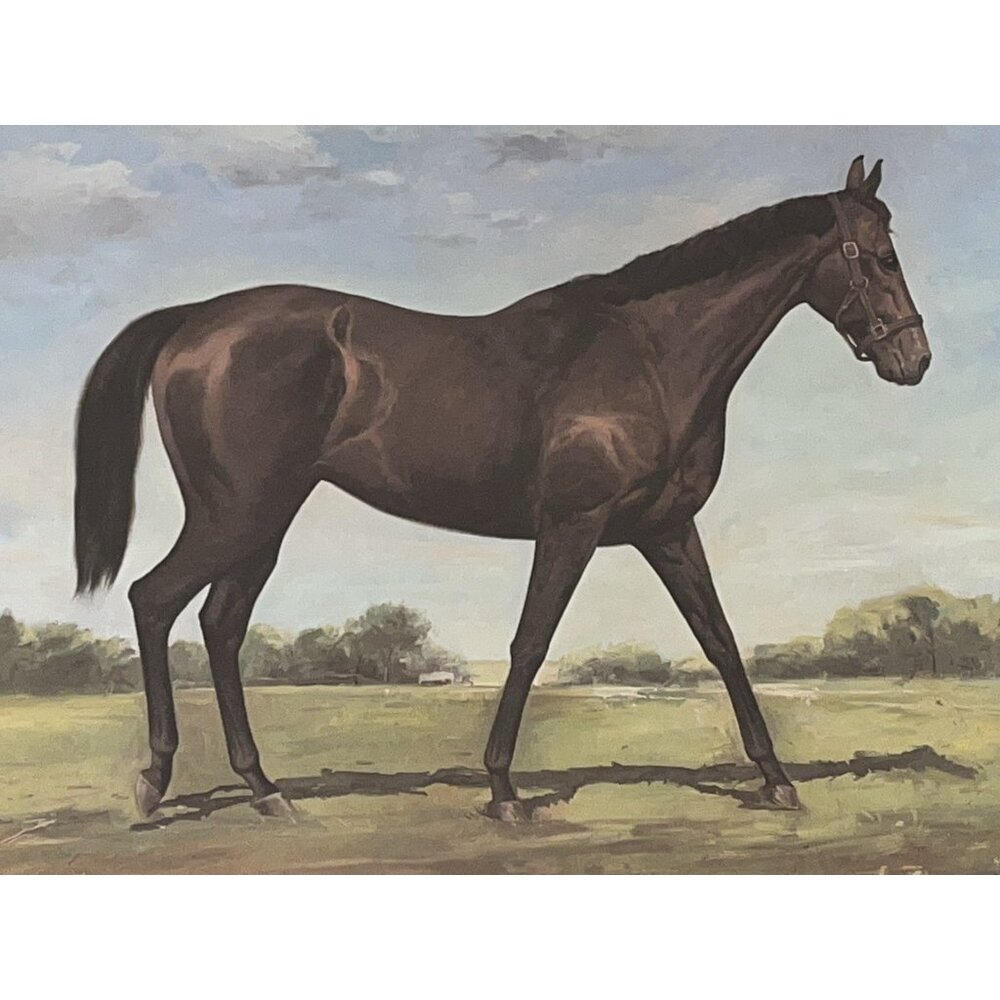 John Henry Large Lithograph Art Artist Signed Numbered Biggest Winning Horse